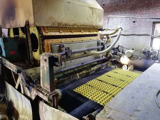 持続可能なパッケージングソリューションのための最先端の卵皿機械